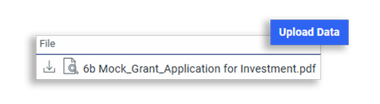 RiskExec Community Development record showing a PDF grant application attached directly to an investment entry via the Upload Data feature.